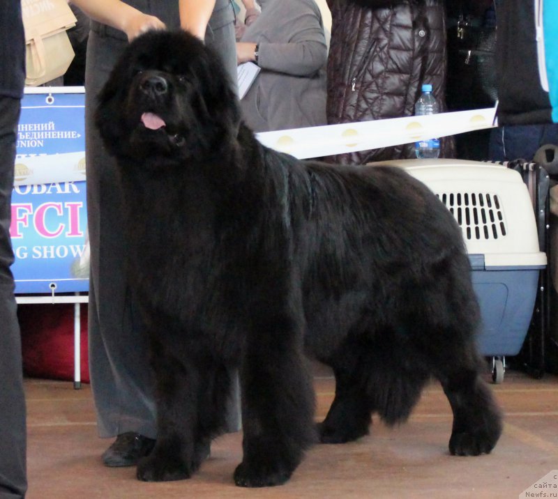 Фотография № 202657