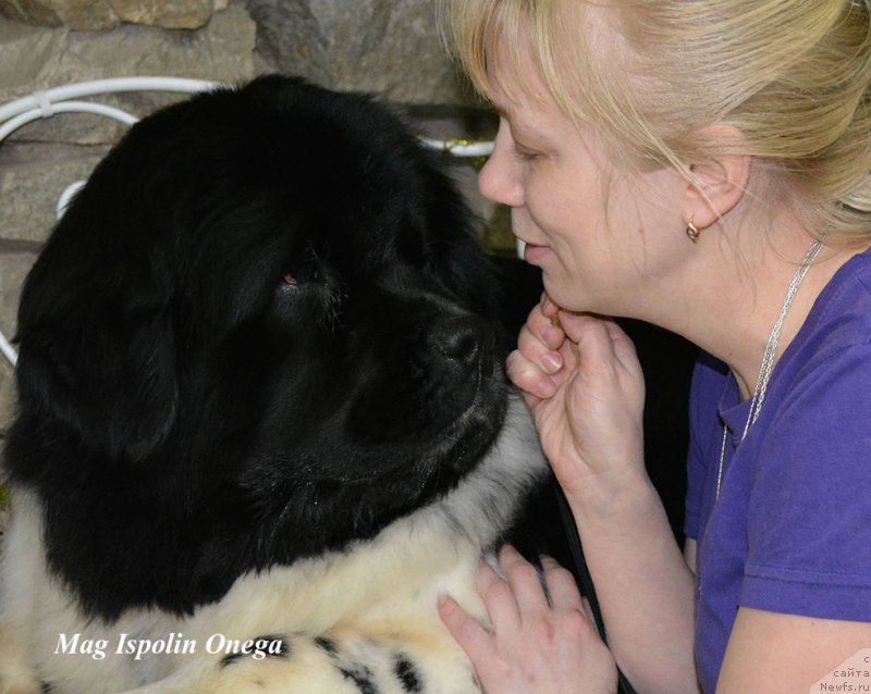 Фотография № 202659