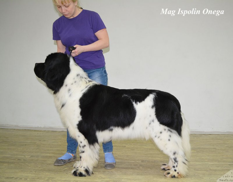 Фотография № 202662