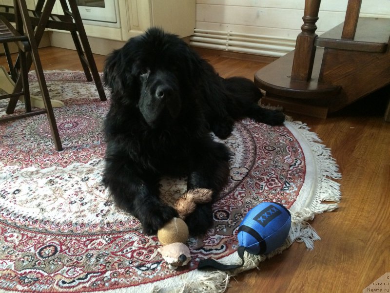 Фотография № 202664