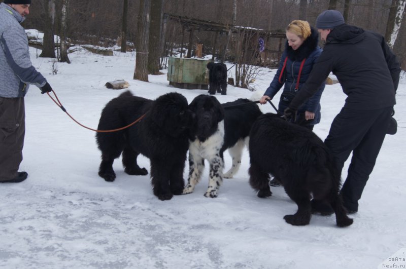 Фотография № 202670