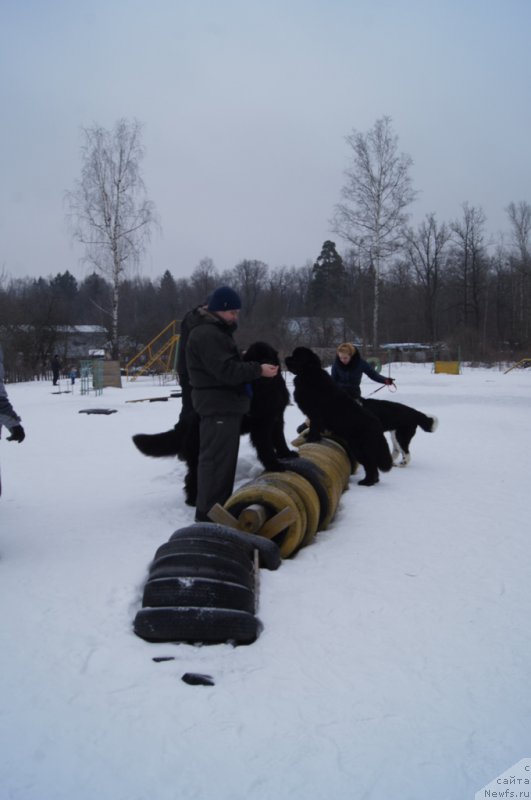 Фотография № 202671