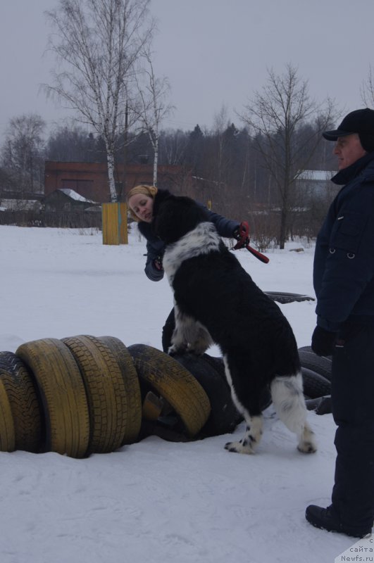 Фотография № 202672