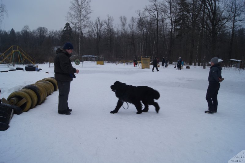 Фото: Александр Пономарёв, Лариса Кутина, Конан