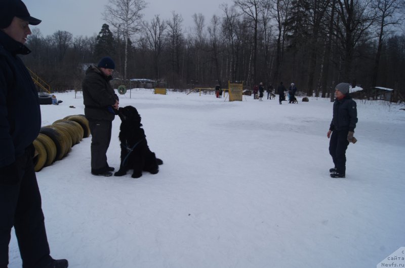 Фотография № 202674