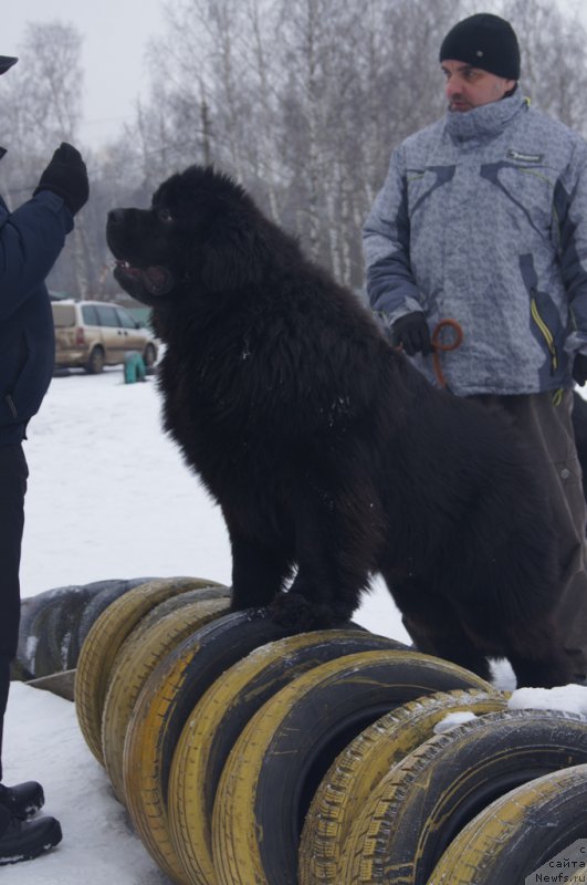 Фотография № 202675