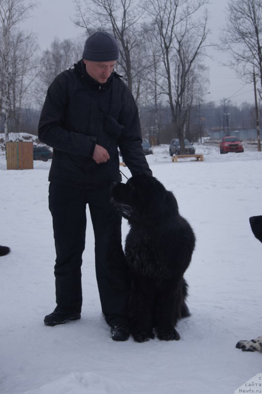 Фотография № 202676