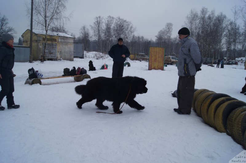 Фотография № 202677