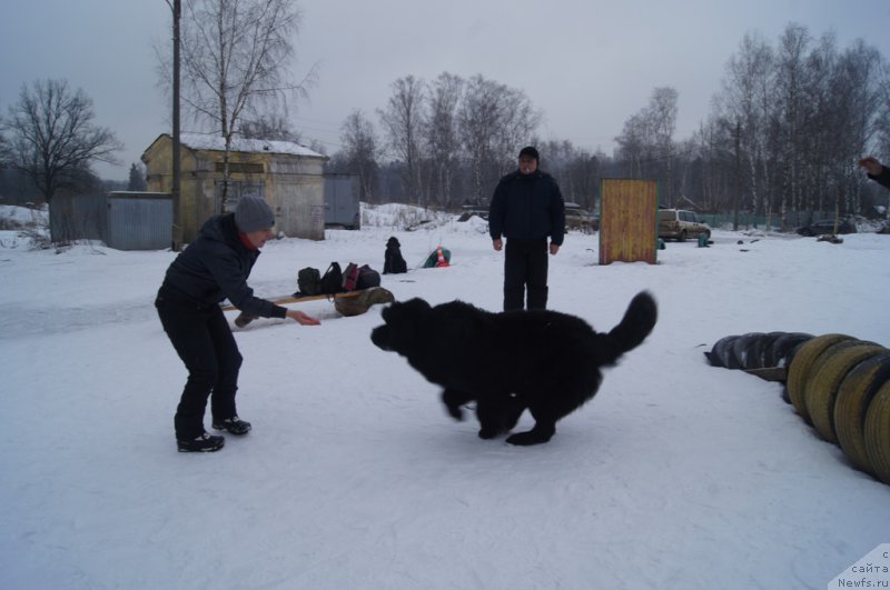 Фотография № 202678