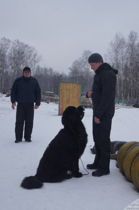 Фотография № 202679