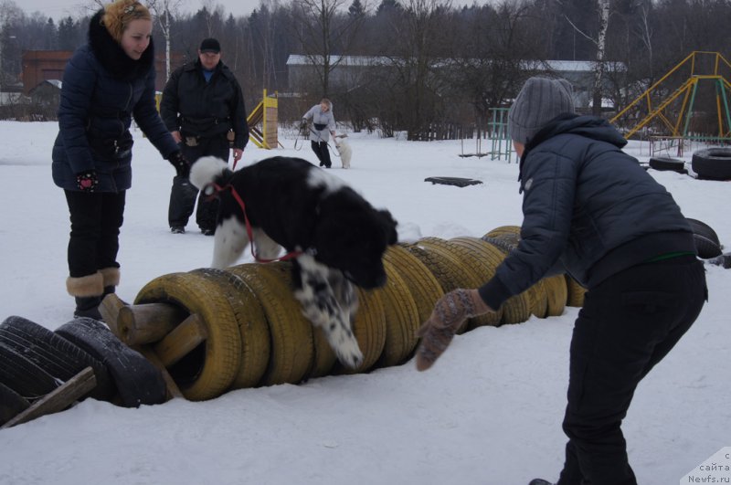 Фотография № 202680