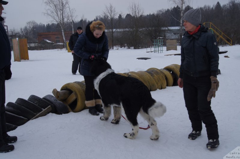 Фотография № 202681