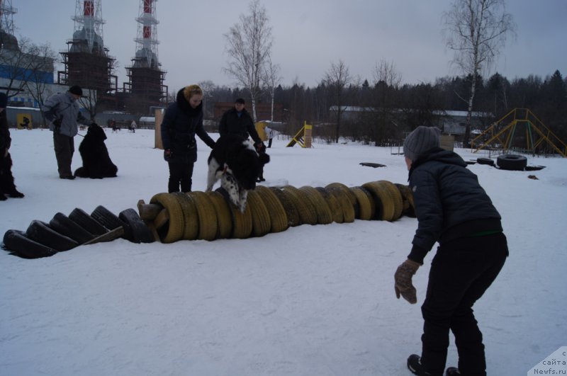 Фотография № 202682