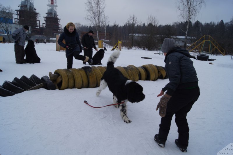 Фотография № 202683