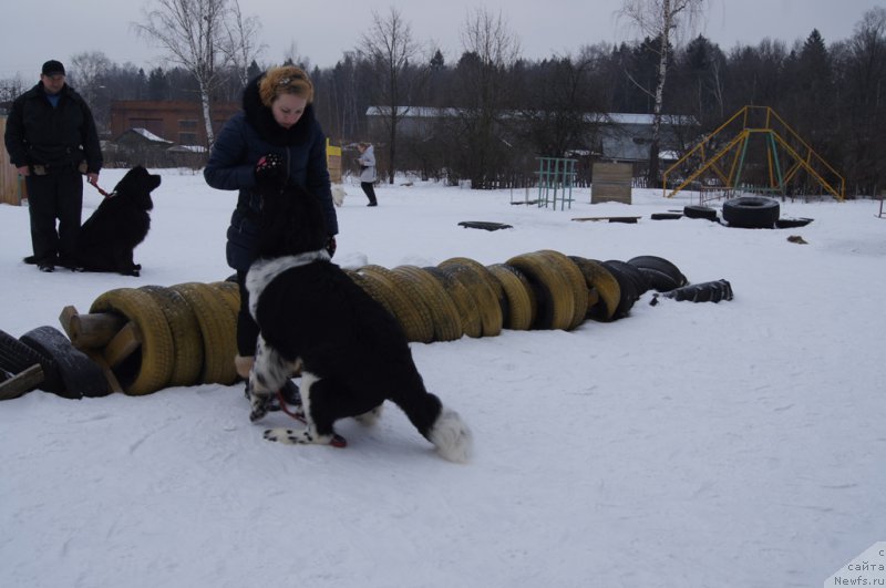 Фотография № 202684