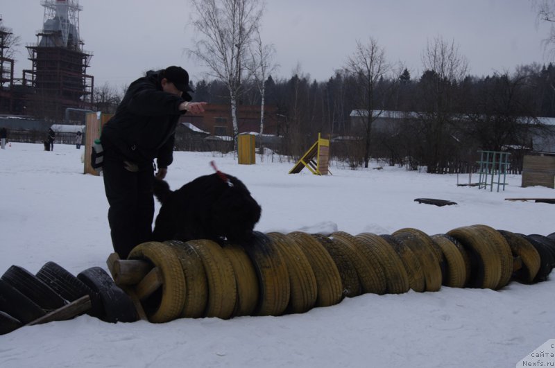 Фотография № 202685