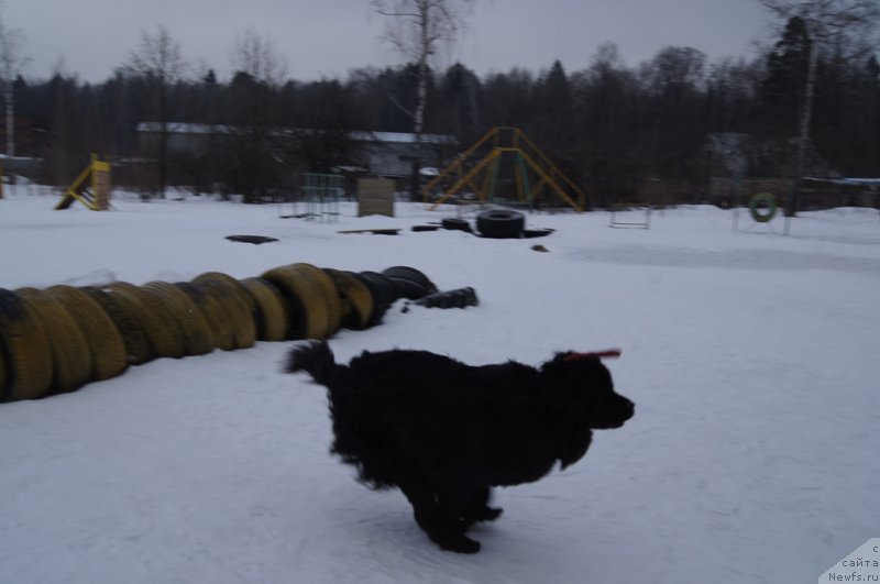 Фотография № 202686