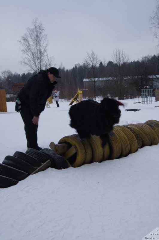 Фотография № 202687