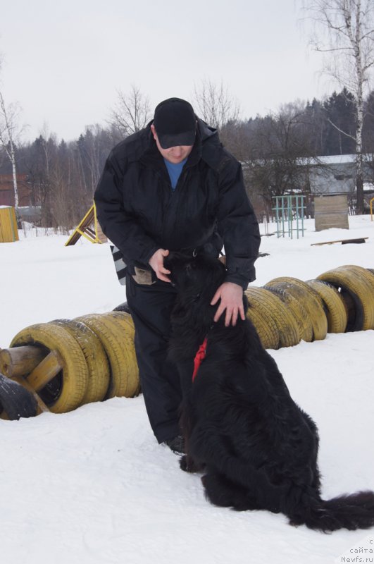 Фотография № 202688