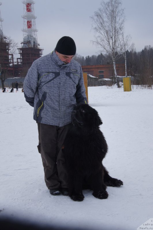 Фотография № 202689