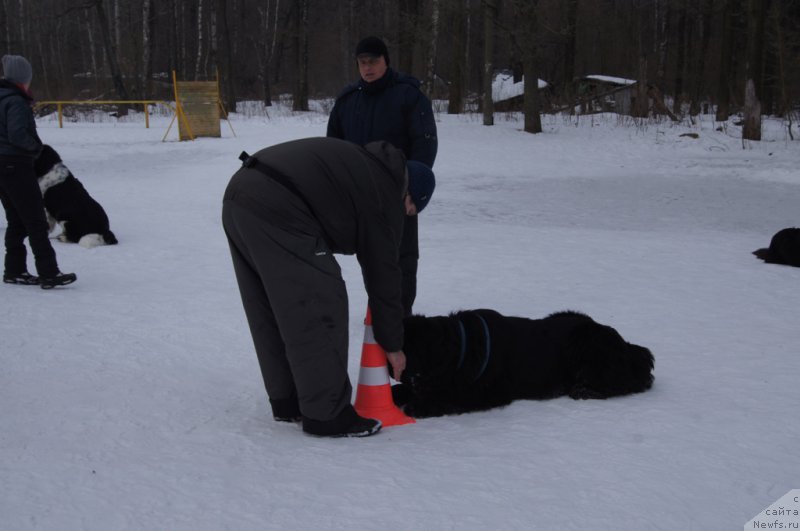 Фотография № 202690