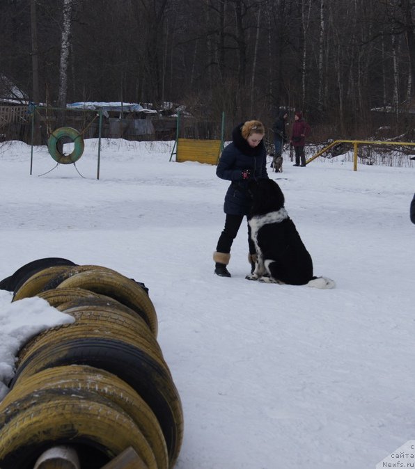 Фотография № 202691