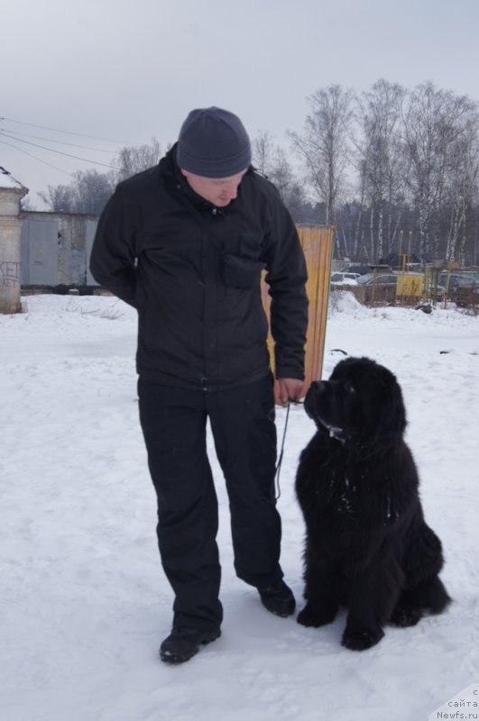 Фотография № 202692