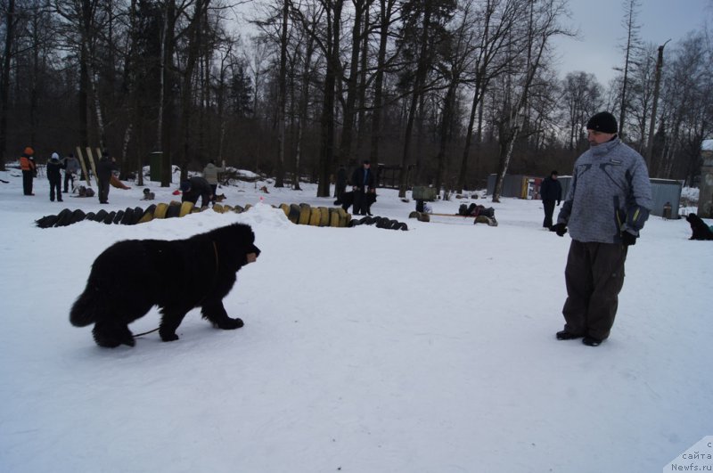 Фотография № 202693