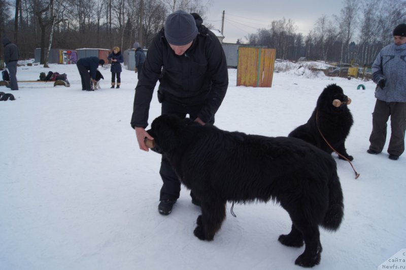 Фотография № 202694