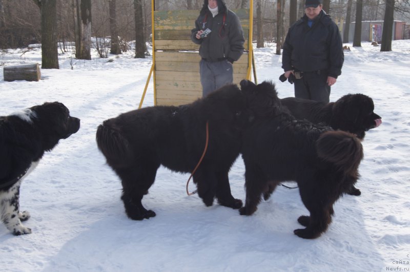 Фотография № 202697