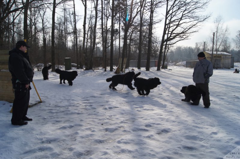 Фотография № 202698