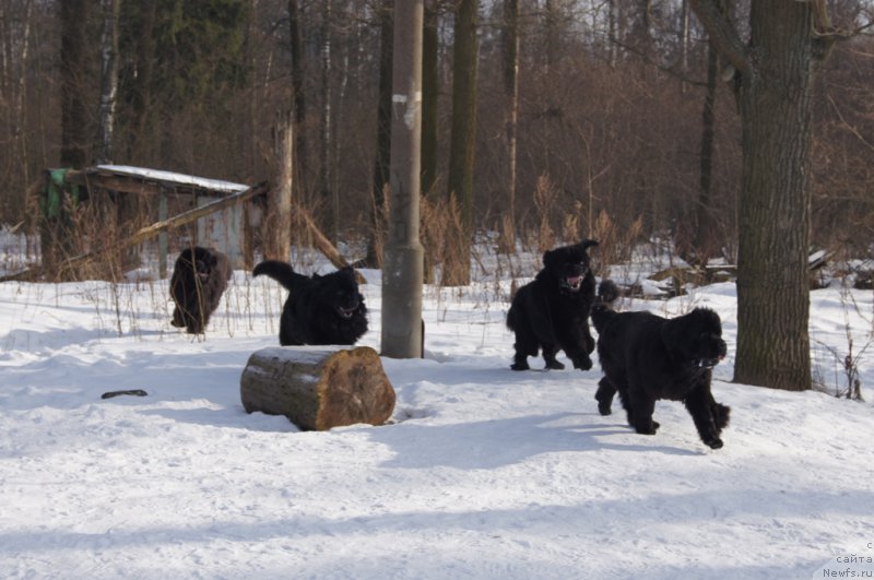 Фотография № 202699