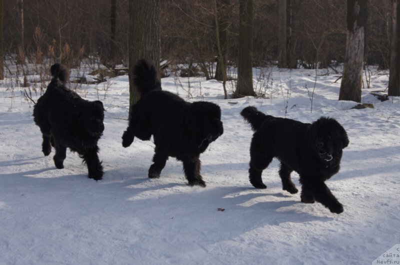 Фотография № 202700