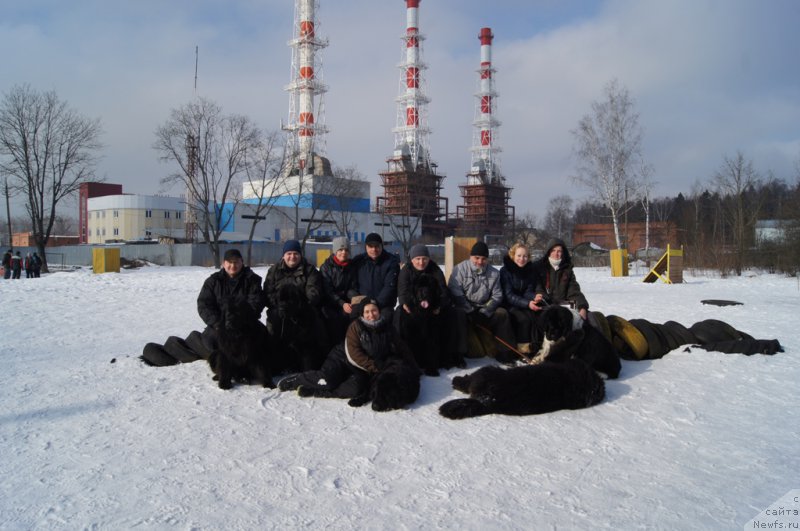 Фотография № 202703