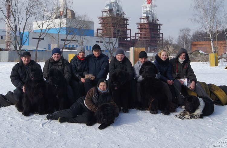 Фотография № 202705