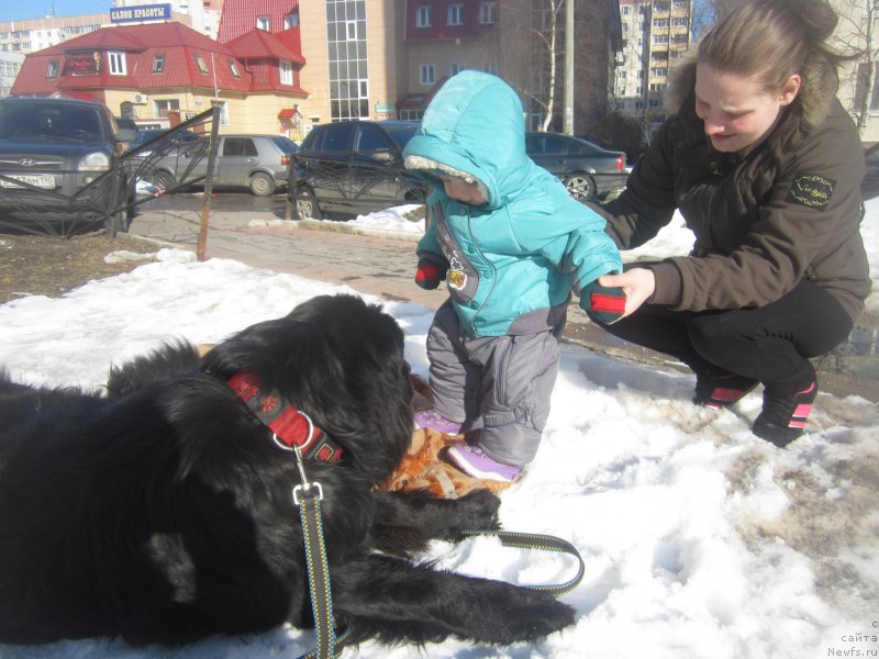 Фотография № 202706