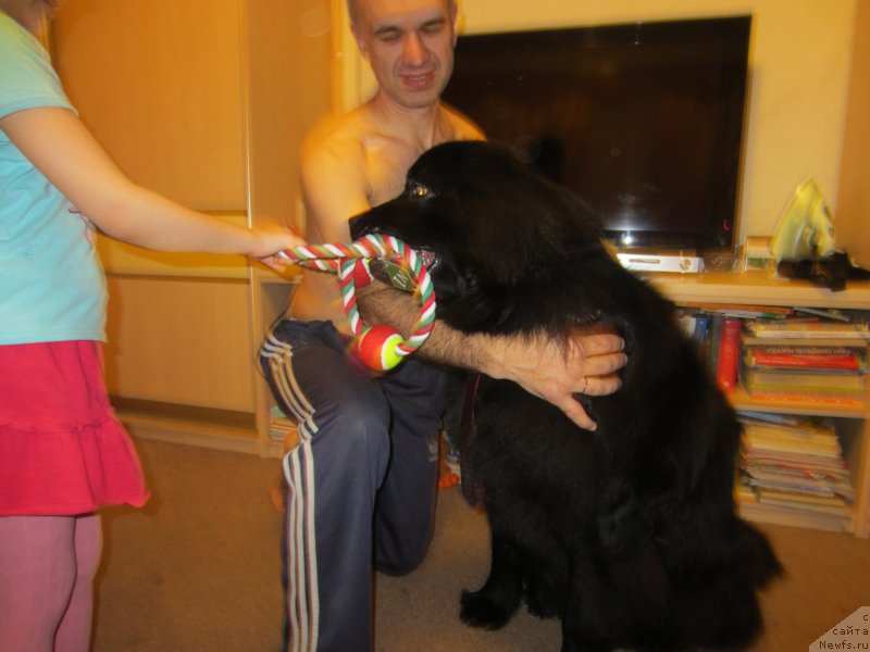 Фотография № 202708