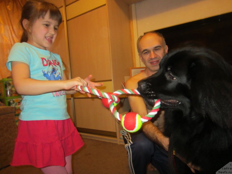 Фотография № 202709