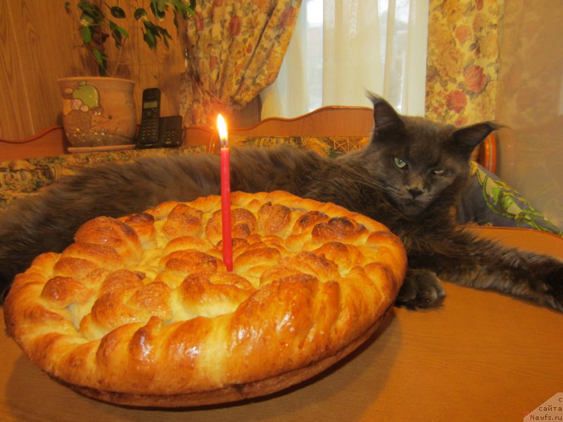 Фотография № 202711