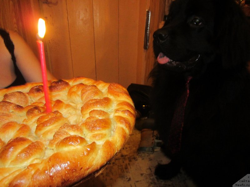 Фотография № 202713