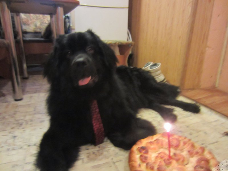 Фотография № 202715