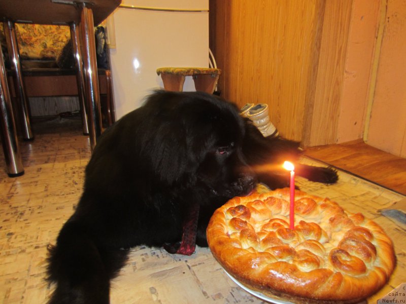 Фотография № 202716