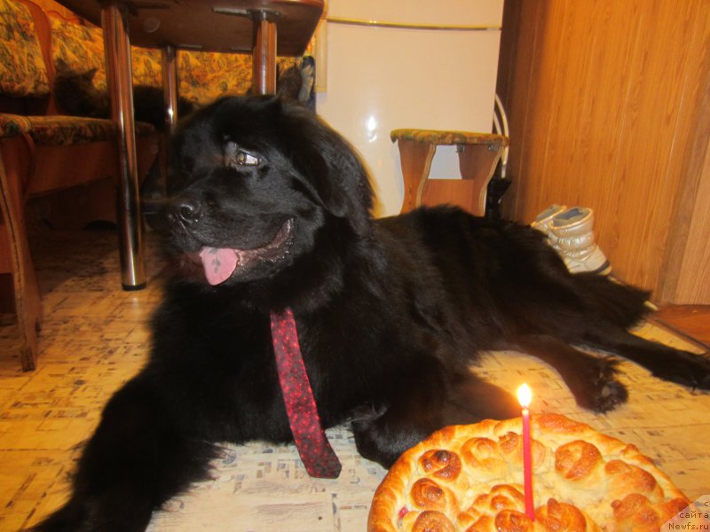 Фотография № 202718