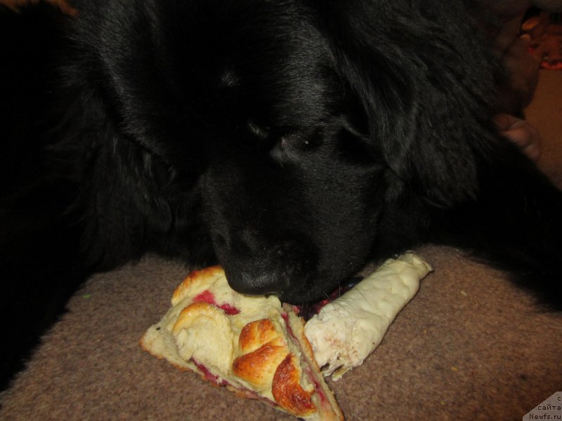 Фотография № 202723