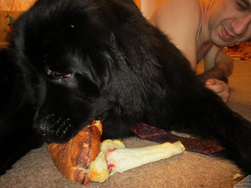 Фотография № 202724