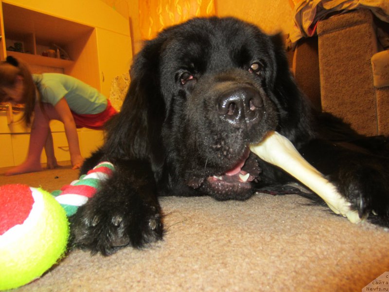 Фотография № 202727