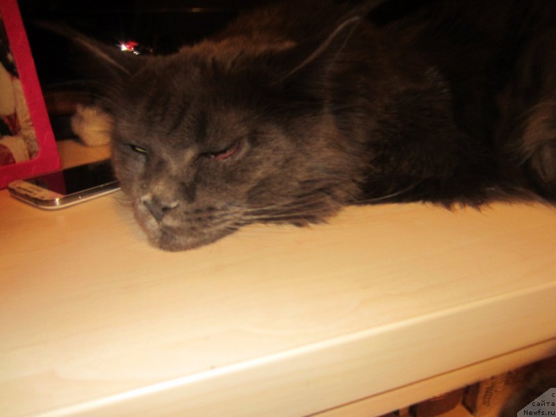 Фотография № 202728