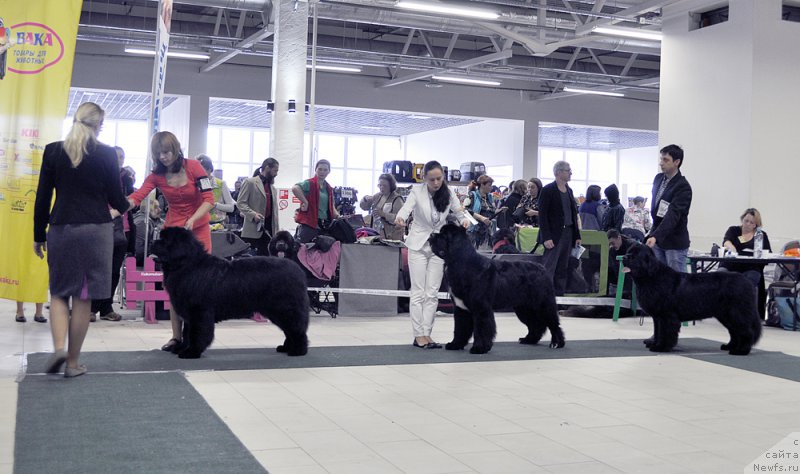 Фотография № 202734