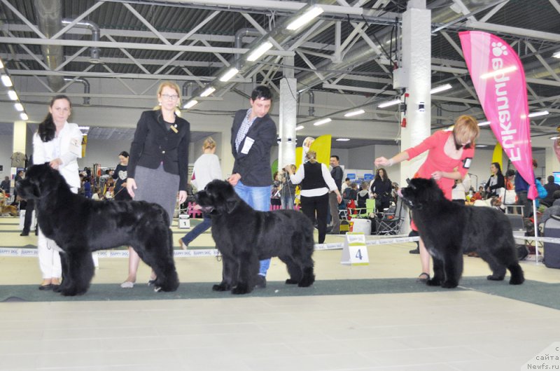 Фотография № 202736