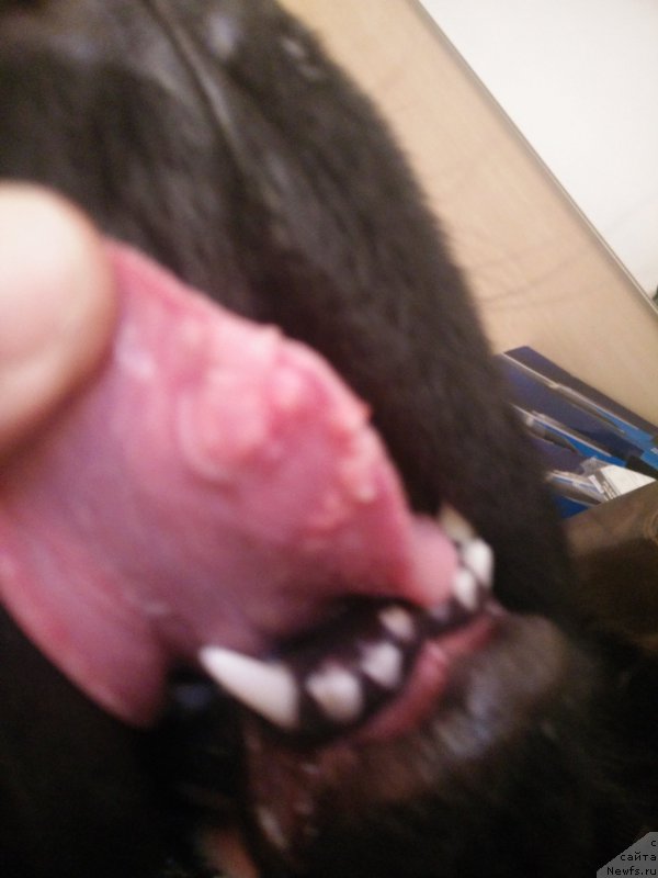 Фото: Игорь Штейнберг